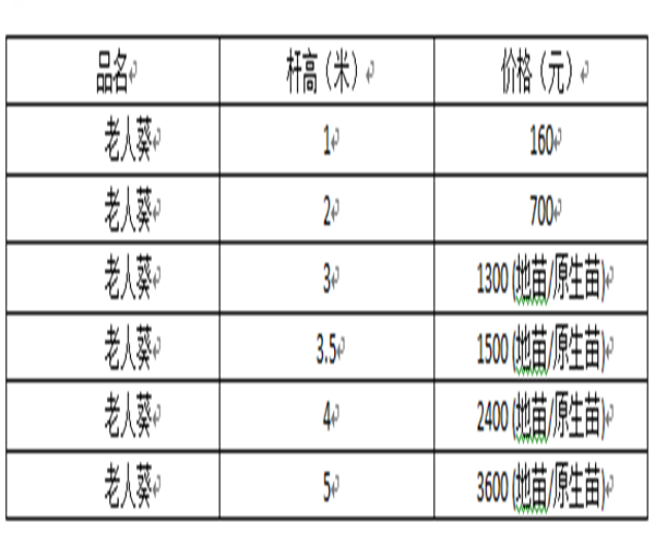 2019年老人葵价格