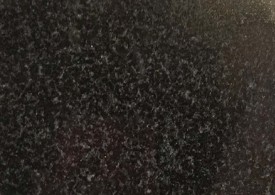 森林绿替换品种：万年青（阳江黑）