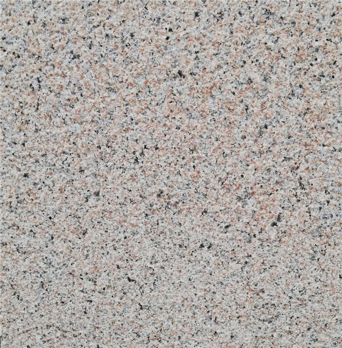 木兰红荔枝面