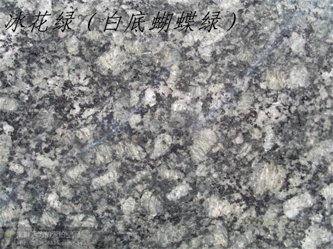 白底蝴蝶绿