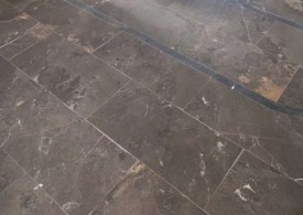 仿古效果万年青地铺石批发
