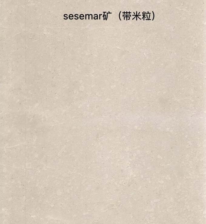 白玉兰翻新